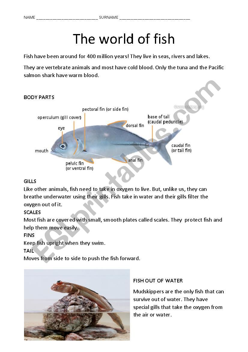 FISH- SCIENCE worksheet
