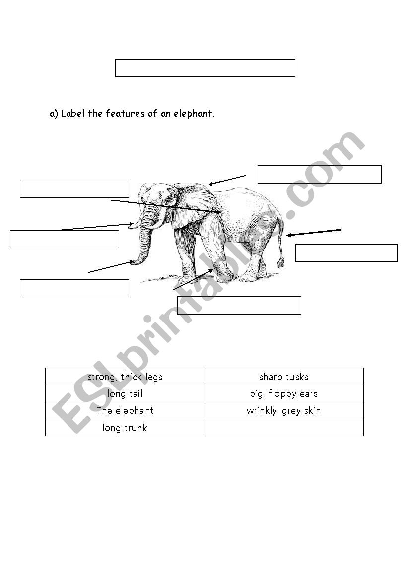 Animal description (Elephant) - ESL worksheet by sushington