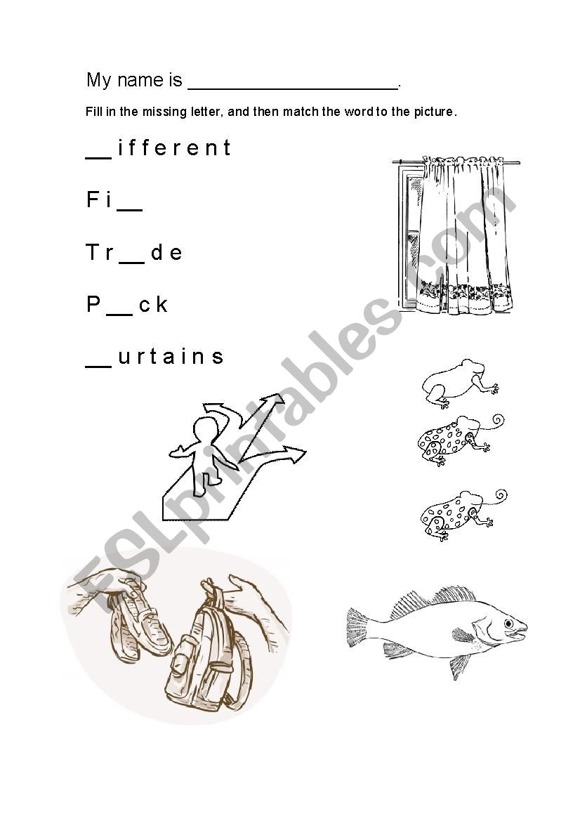 Vocabulary from the book 