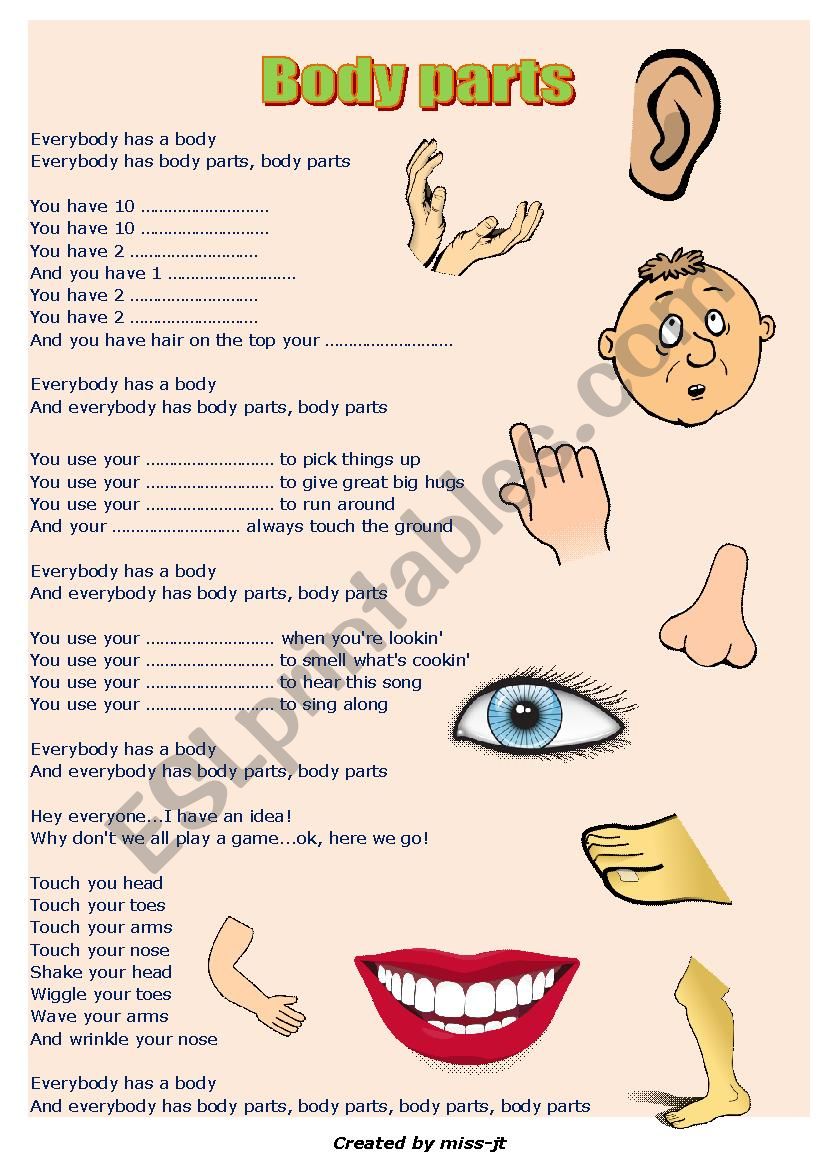 BODY PARTS Song Worksheet ESL Worksheet By Miss jt