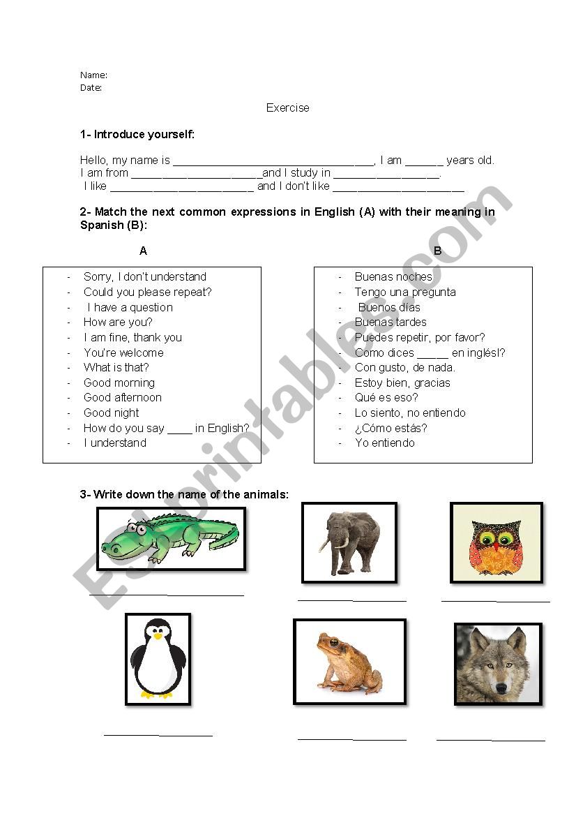 animals and common expressions