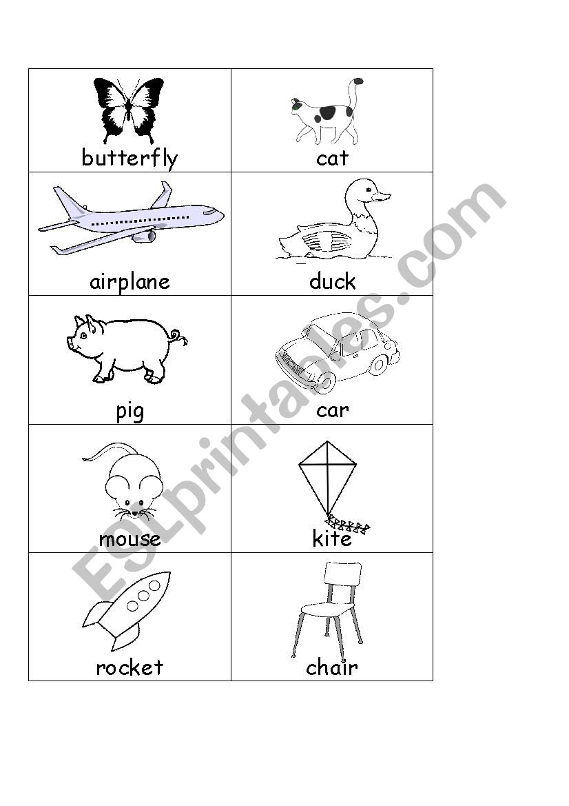 Can & Cant fly sorting worksheet