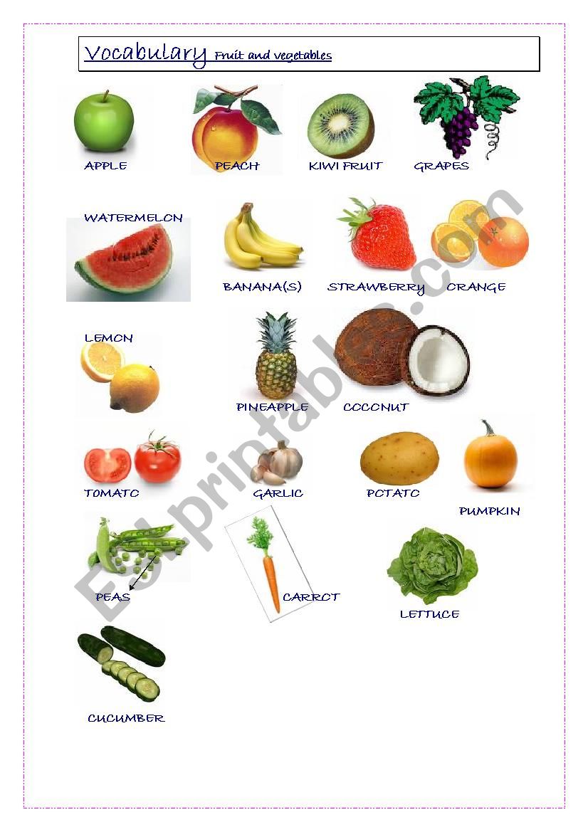 Food pictonary worksheet