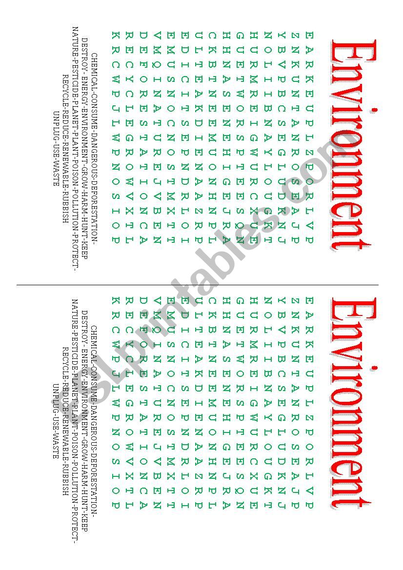 Environment  worksheet