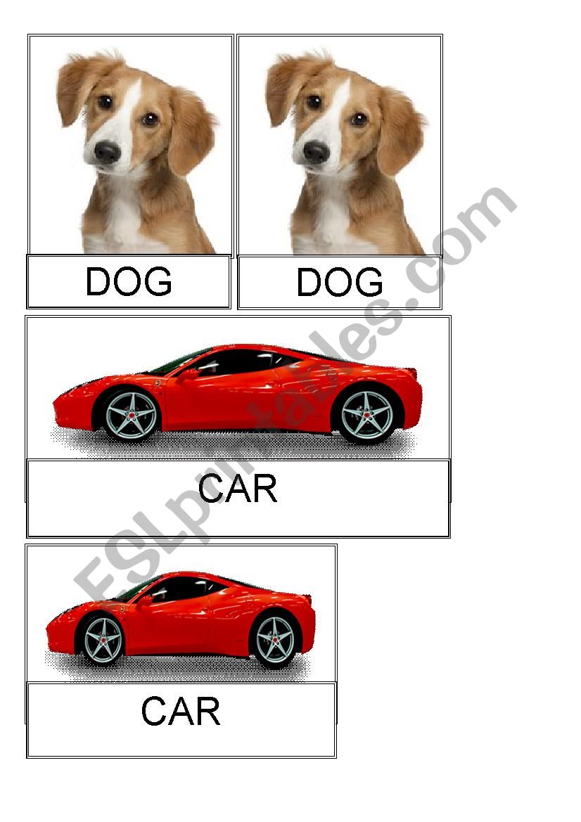 Possessive Adjectives - flash cards + classroom interaction