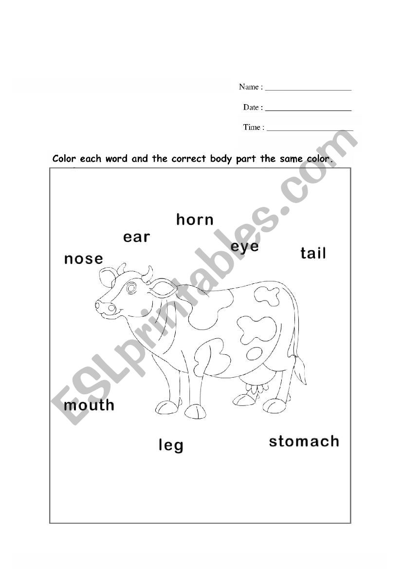 Cow Body Parts Coloring Sheet worksheet