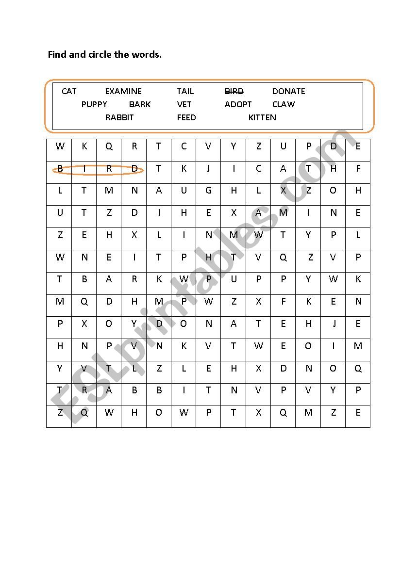 animal shelter vocabs - ESL worksheet by mahacan