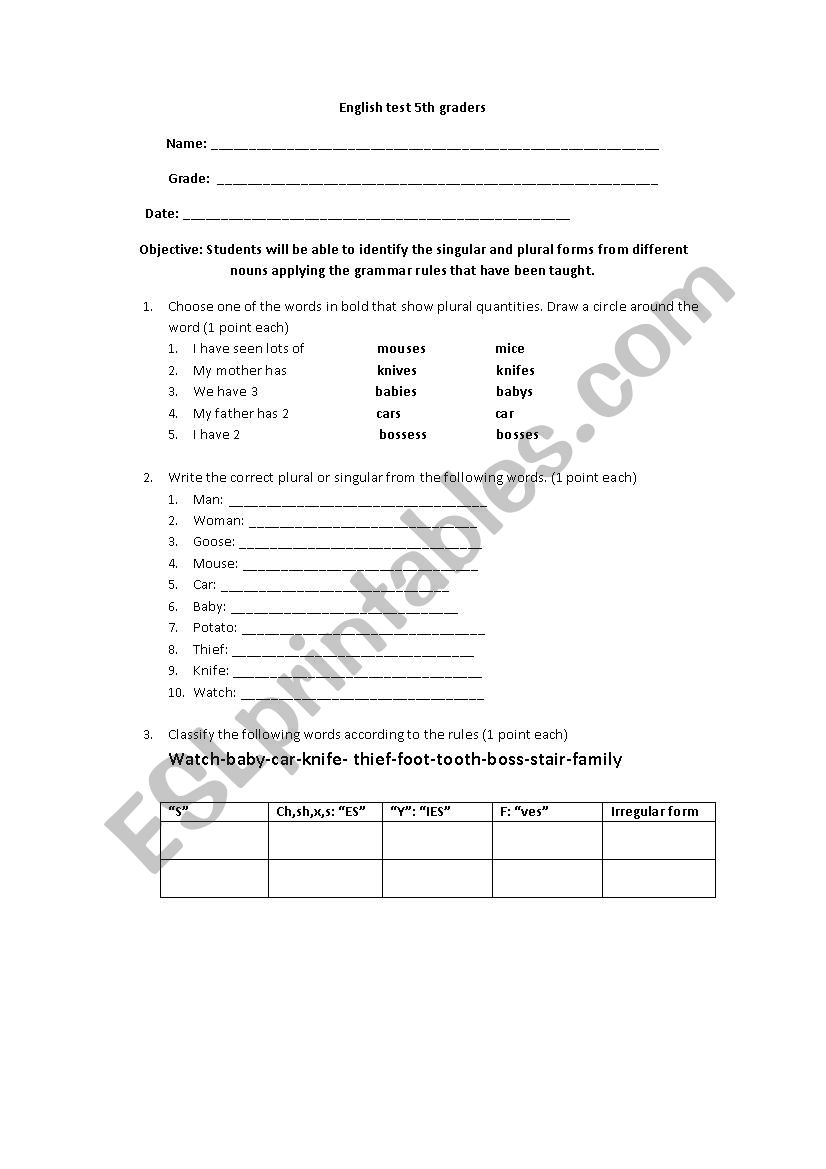 singular and plurals worksheet