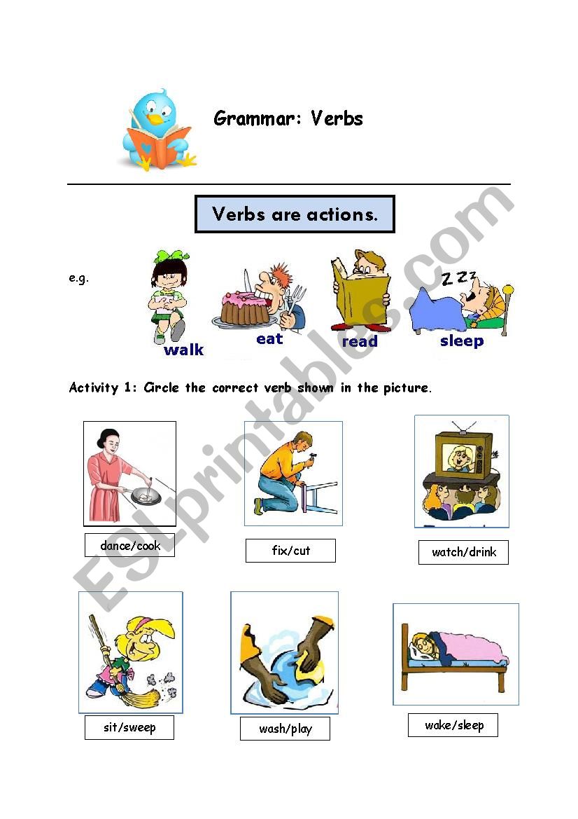 verbs worksheet