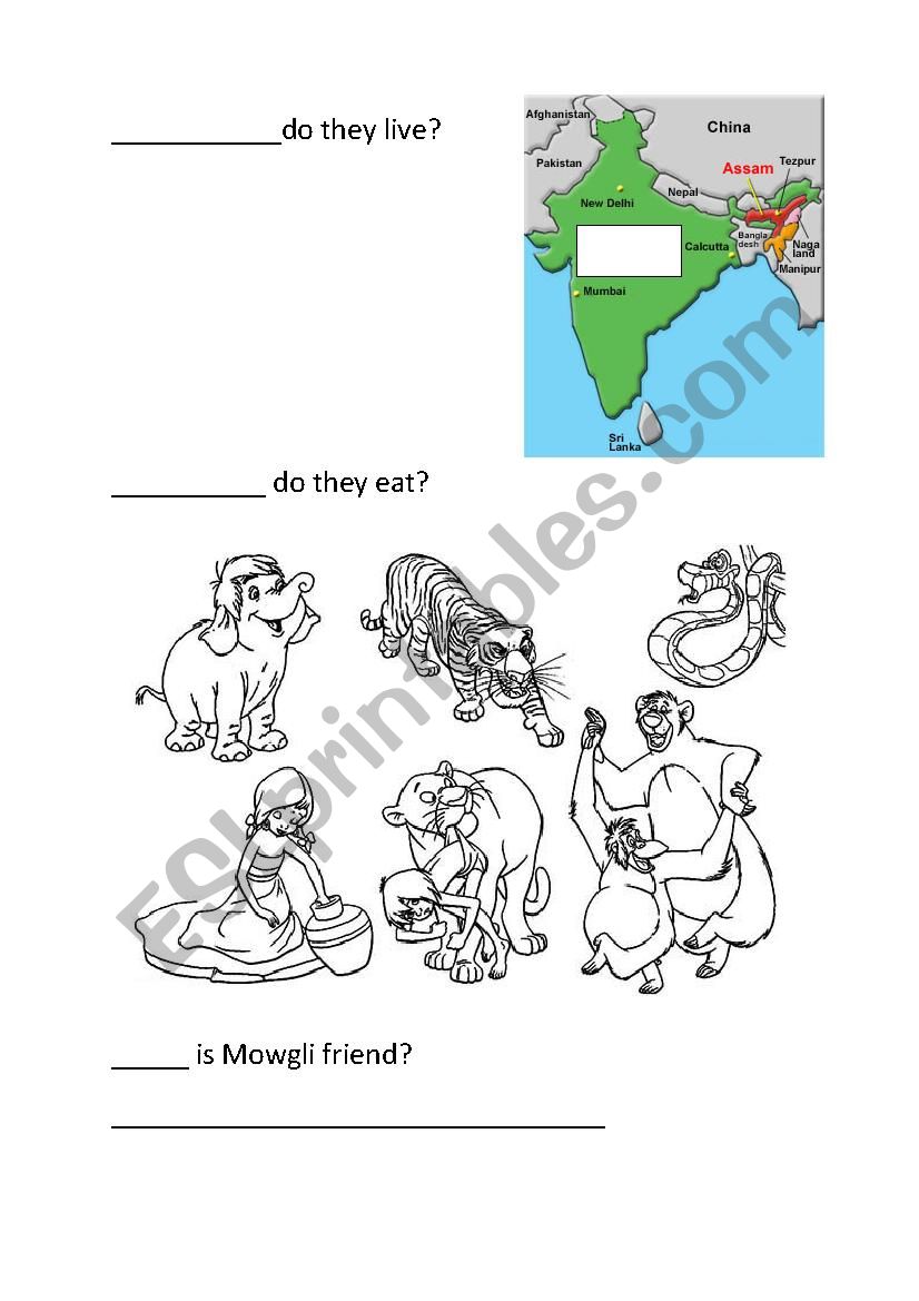 Jungle book questions worksheet