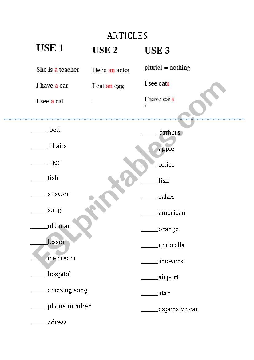 article worksheet