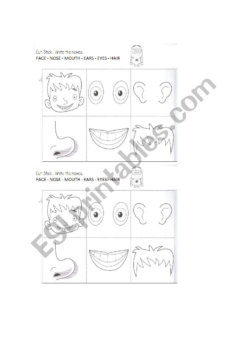 Parts of the face worksheet