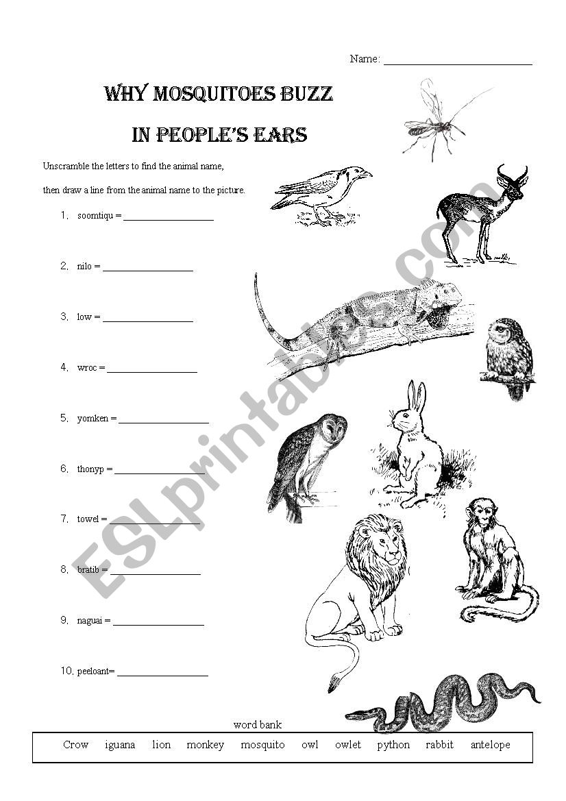 why-mosquitoes-buzz-in-people-s-ears-esl-worksheet-by-shacurington