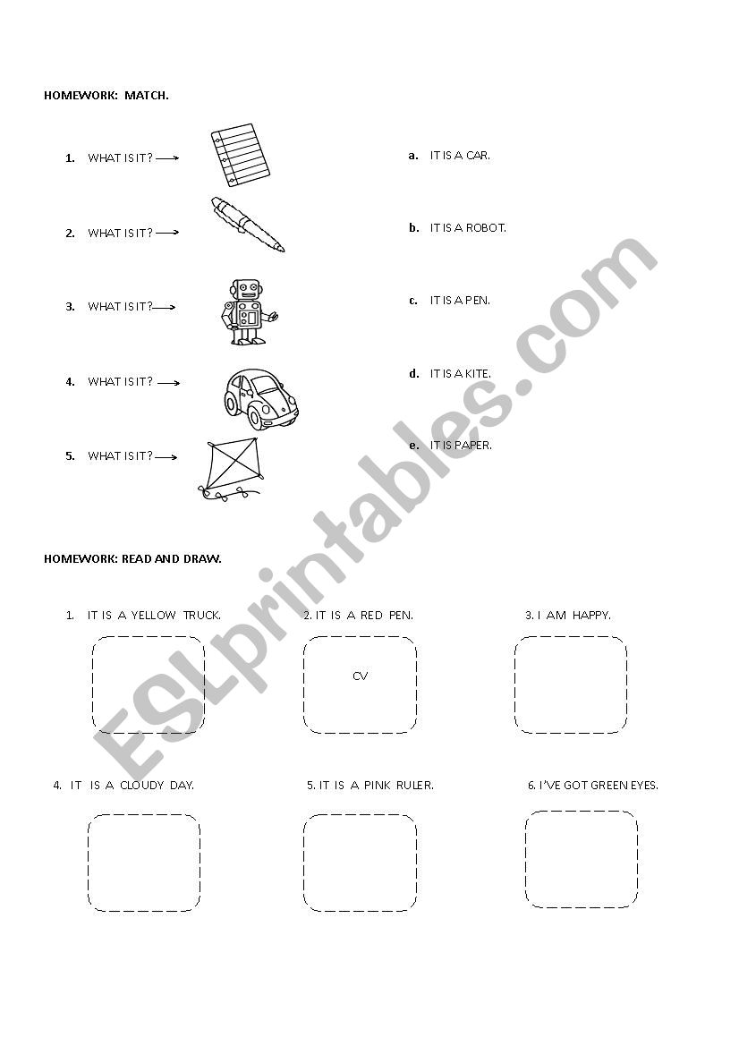 Body Worksheet worksheet