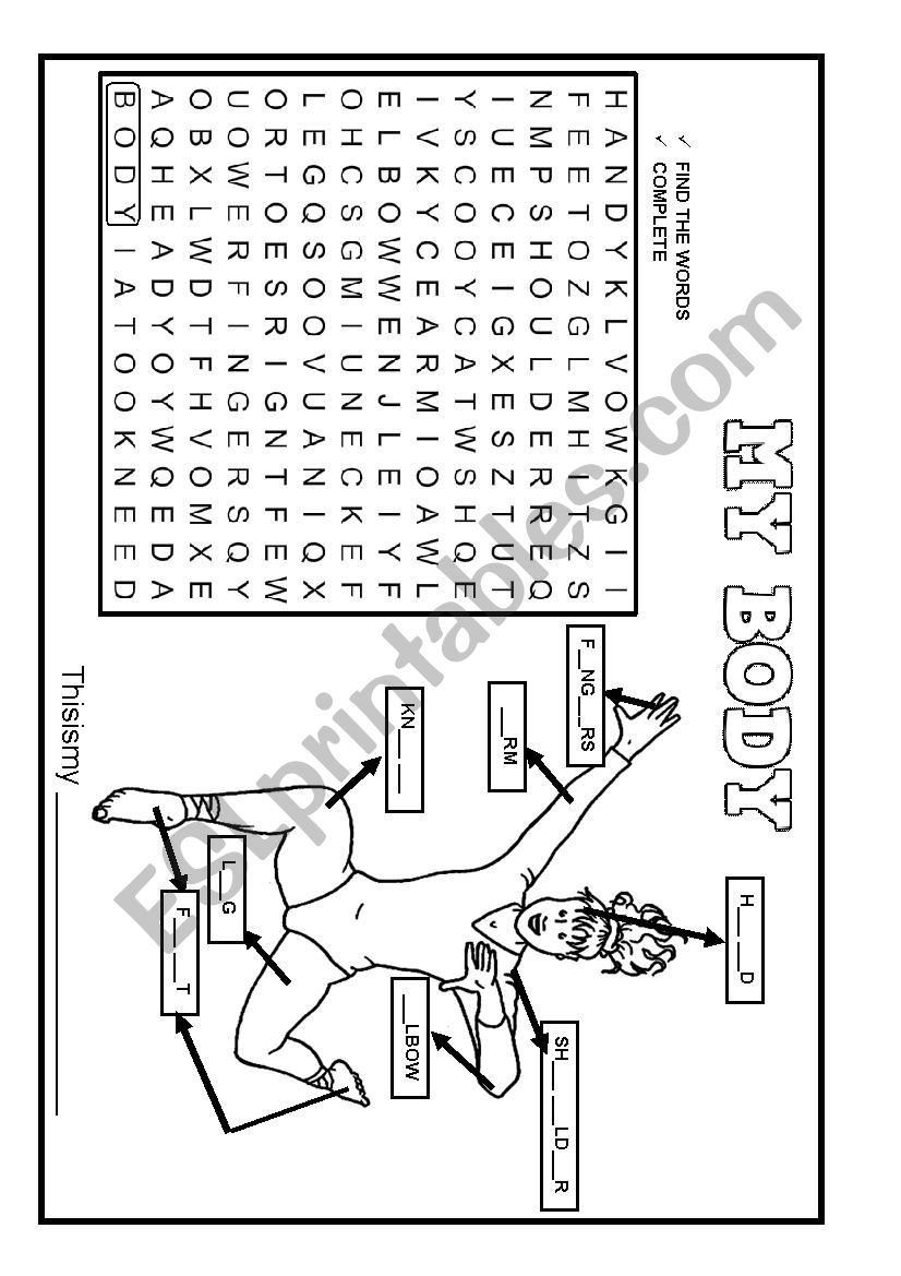 MY BODY worksheet