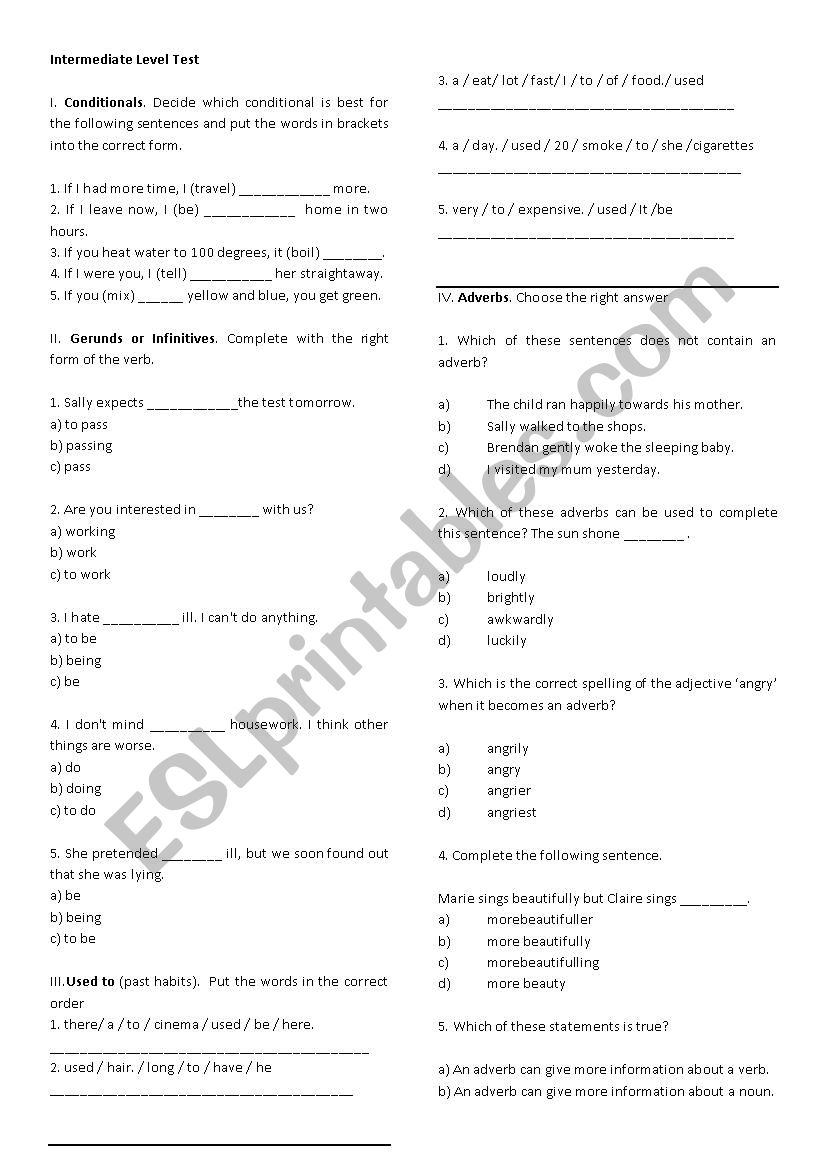 Intermediate Level Test worksheet