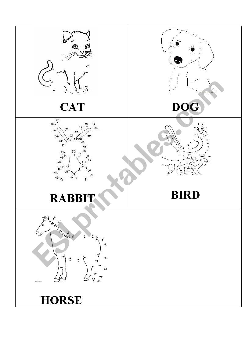animals   worksheet