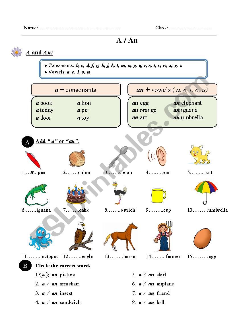 A Or An ESL Worksheet By Trangbomthoi