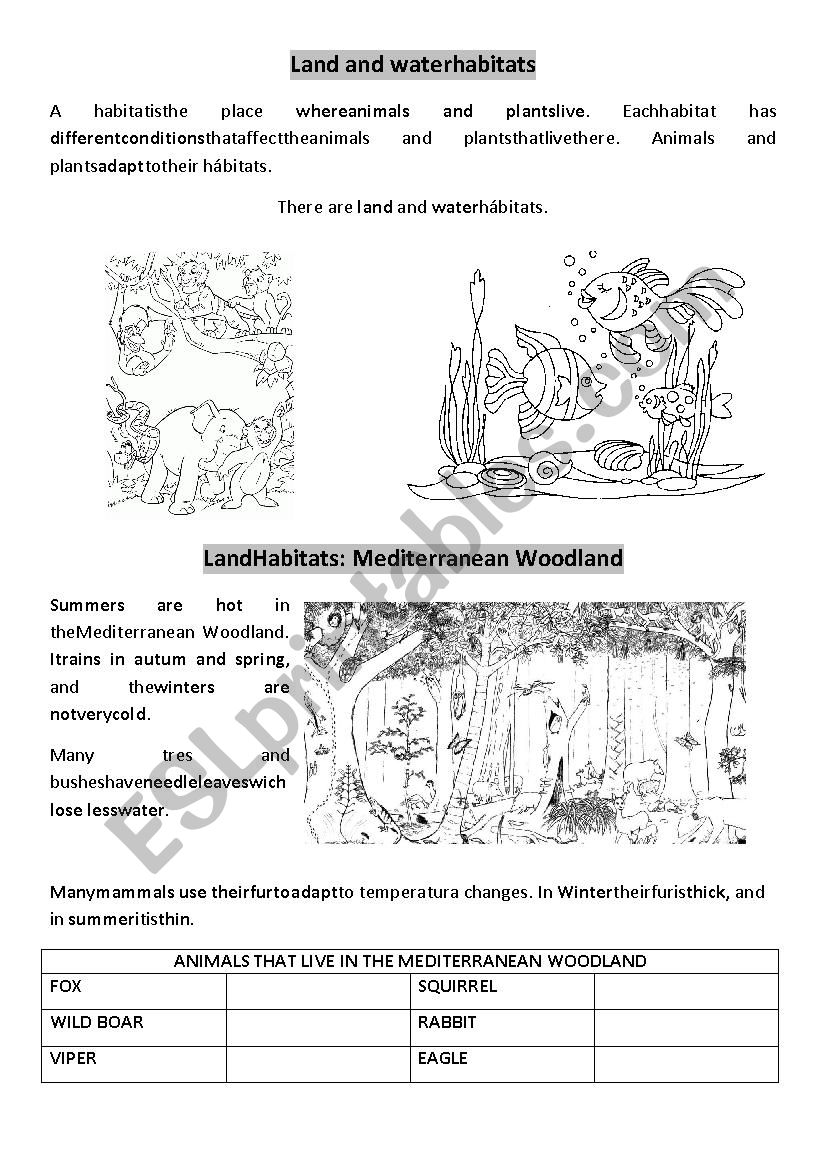 Landscapes worksheet