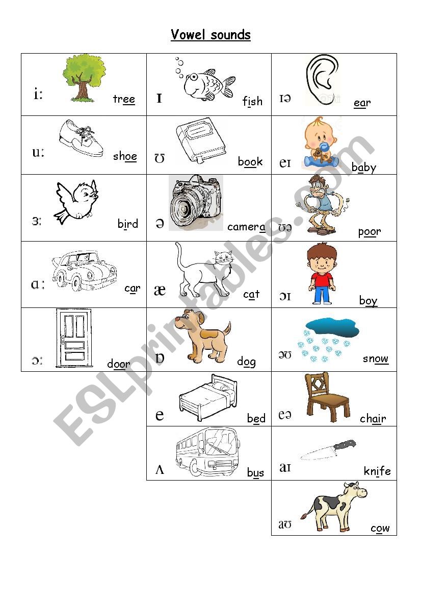 phonetics worksheet