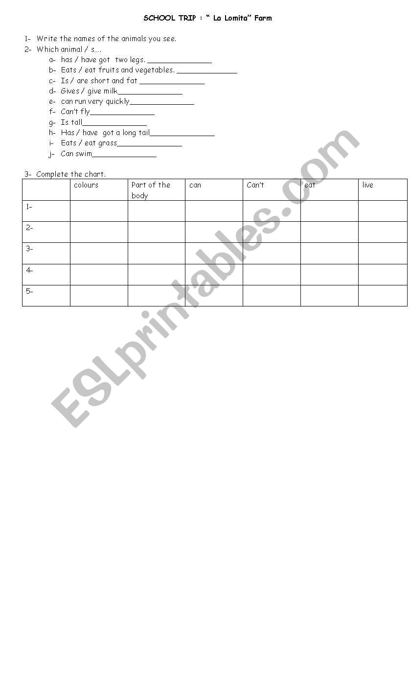 farm animals worksheet