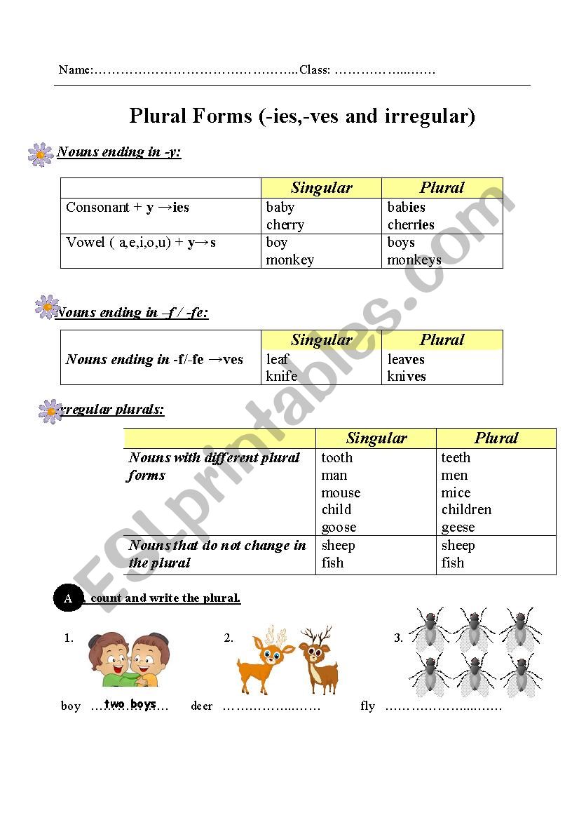 Plural Form ies ves And Irregular ESL Worksheet By Trangbomthoi