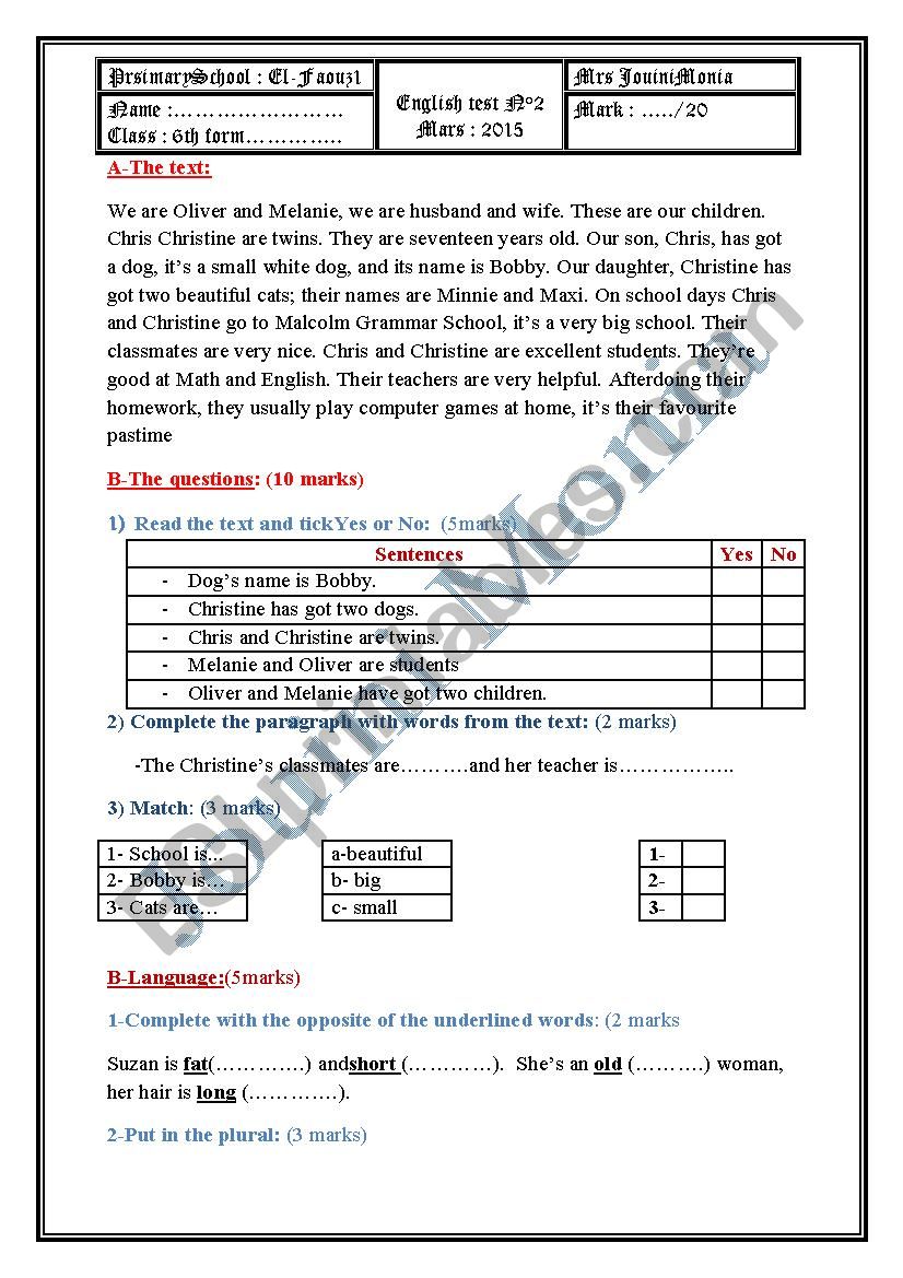 primary school test n2 worksheet