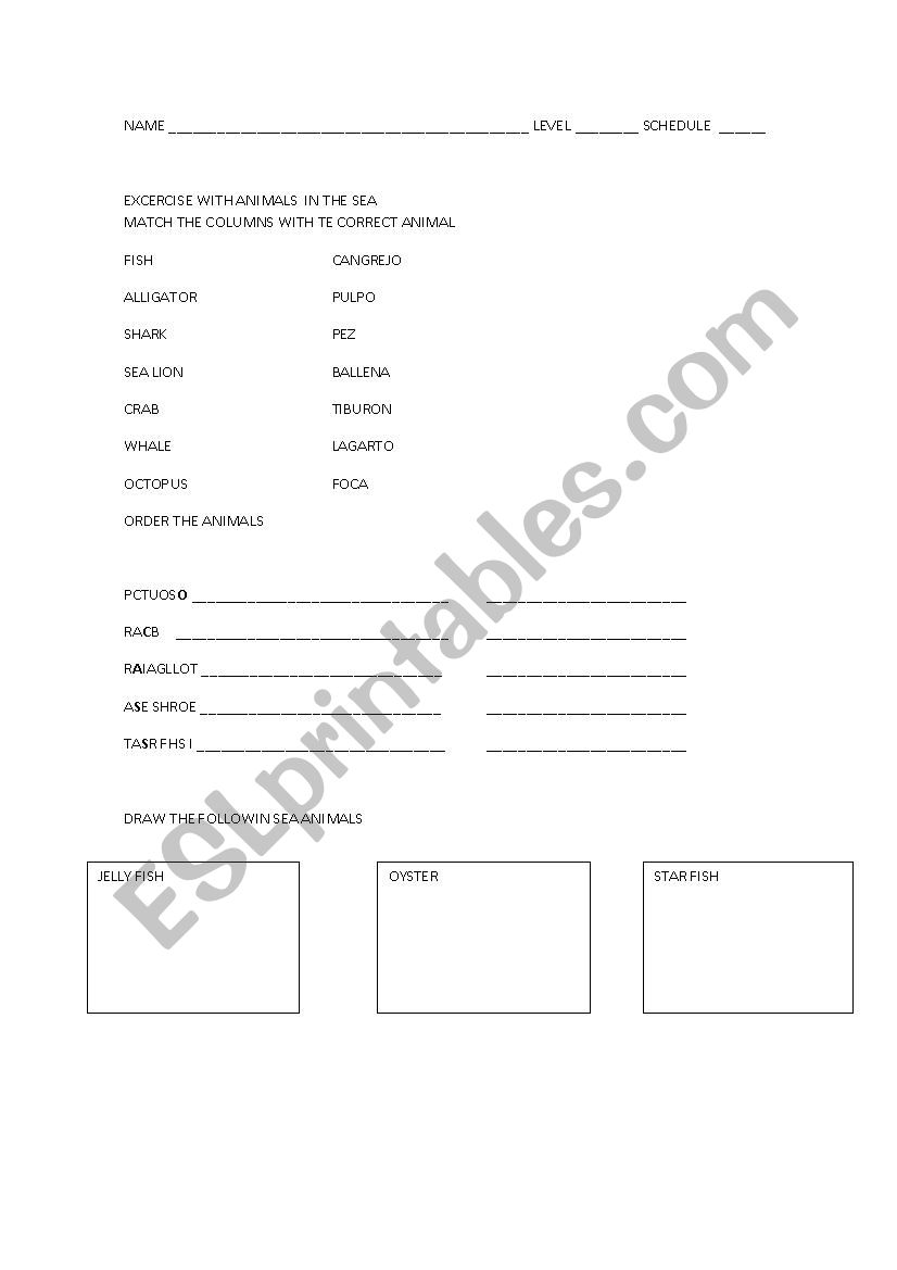 sea animals  worksheet