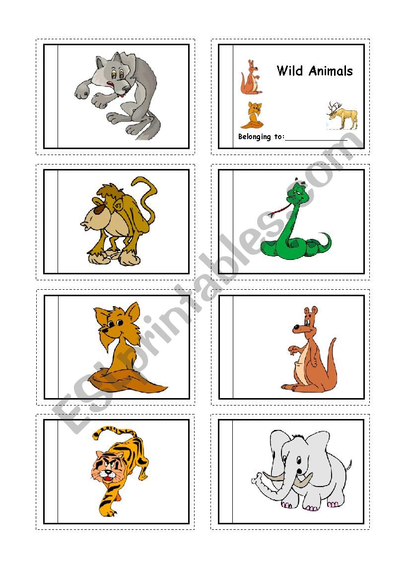 wild animals worksheet