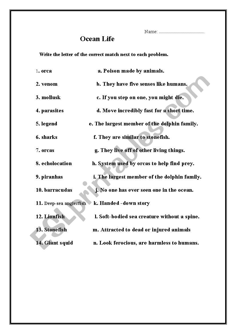 Ocean life worksheet