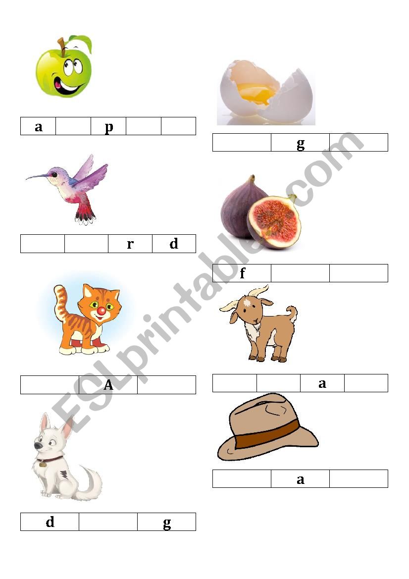 What is it? worksheet