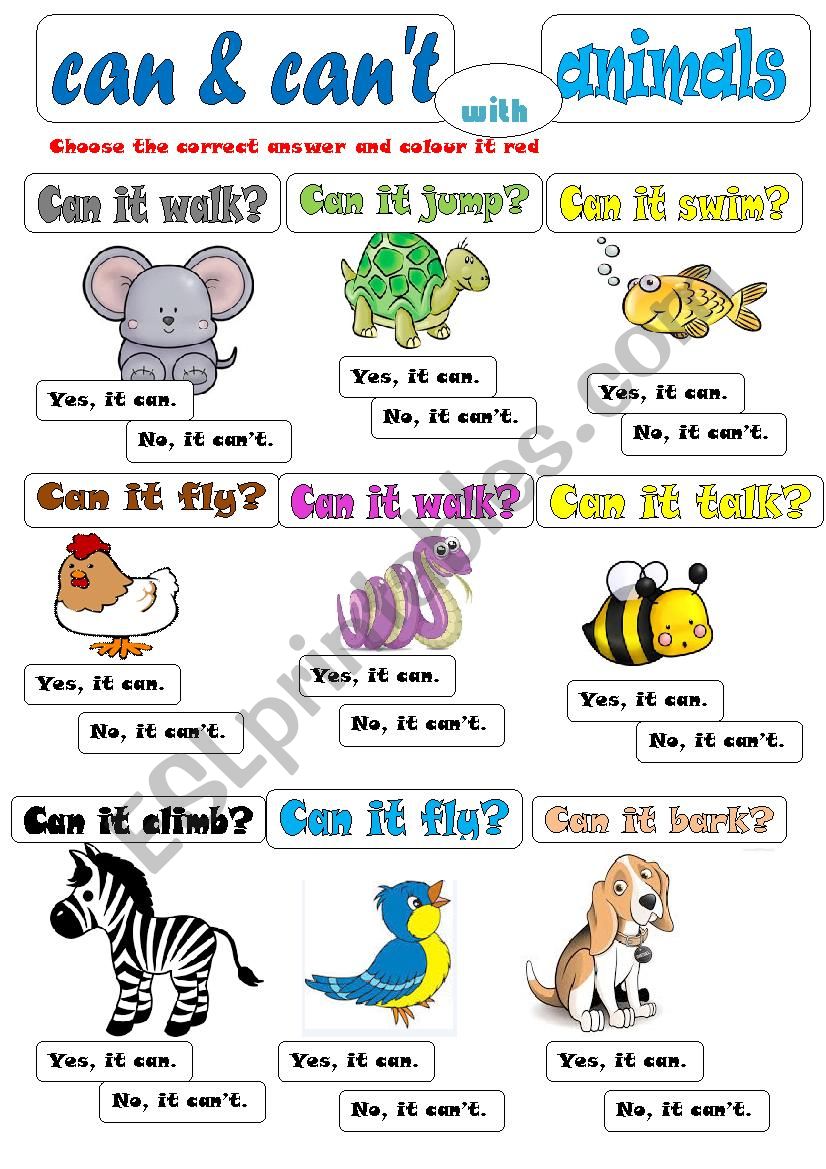 CAN-CANÂ´T WITH ANIMALS - ESL worksheet by byhngmz