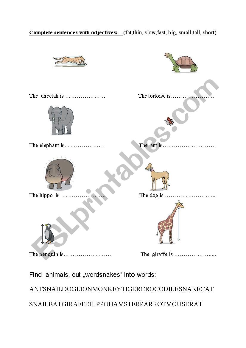 Animals worksheet