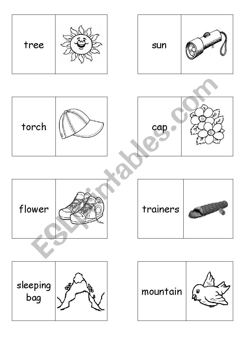 A camp dominoes worksheet