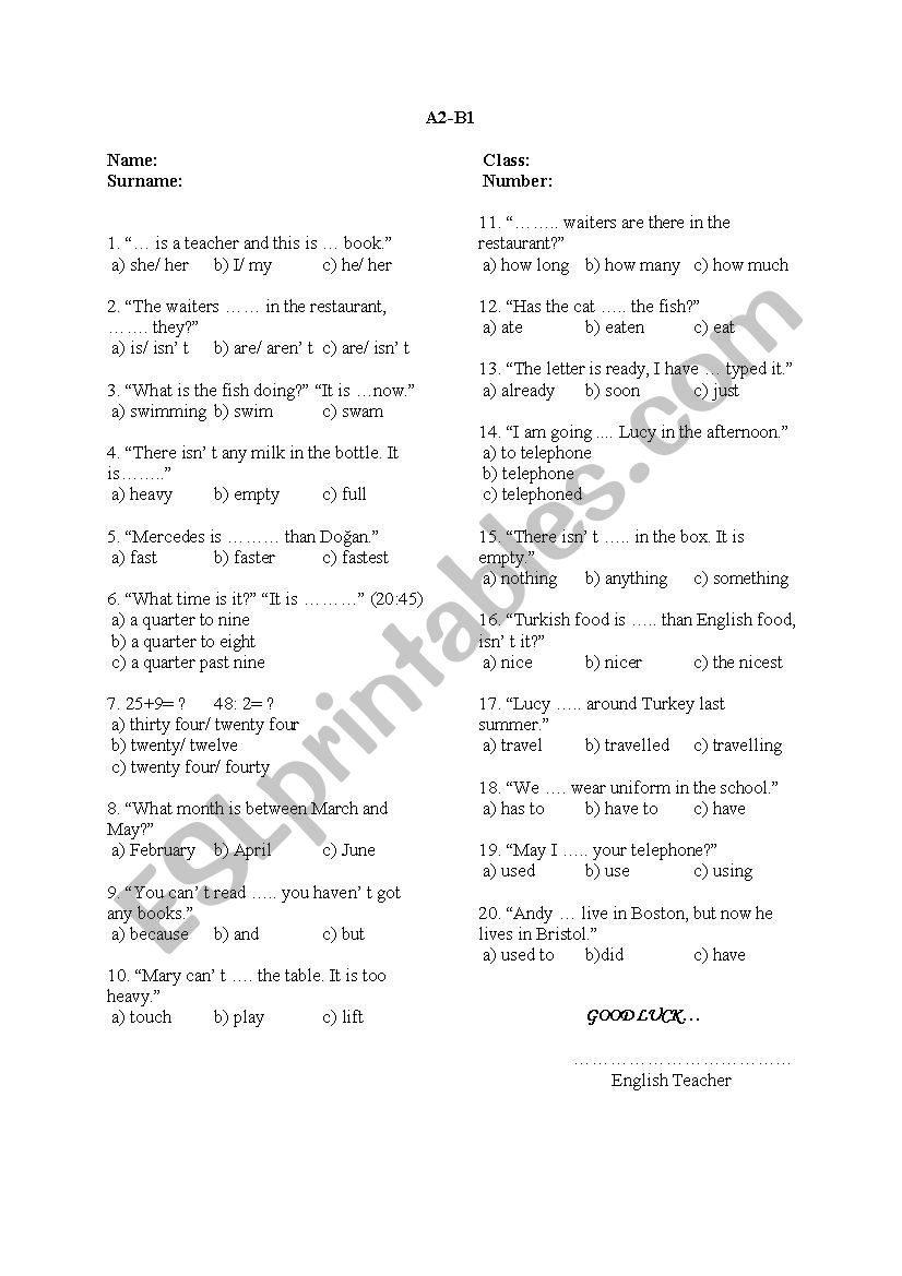 Level Test worksheet