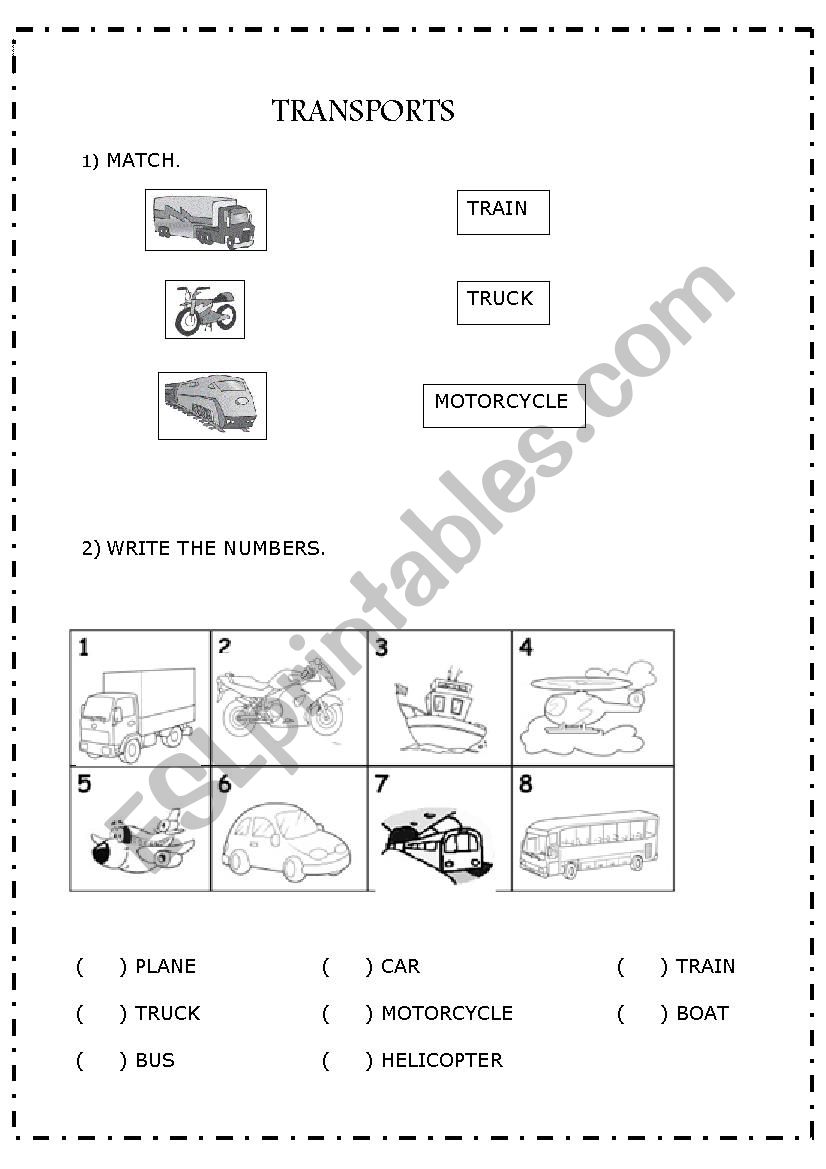 Transports worksheet