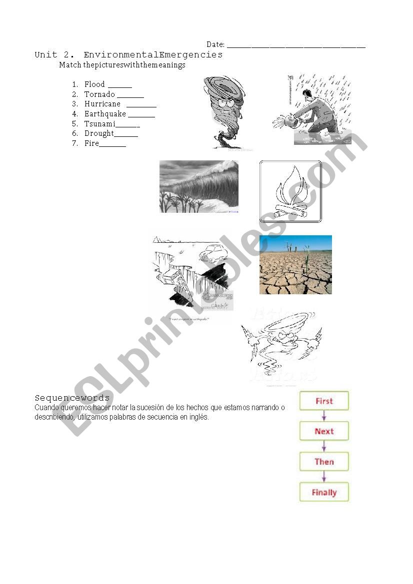 environmental emergencies worksheet