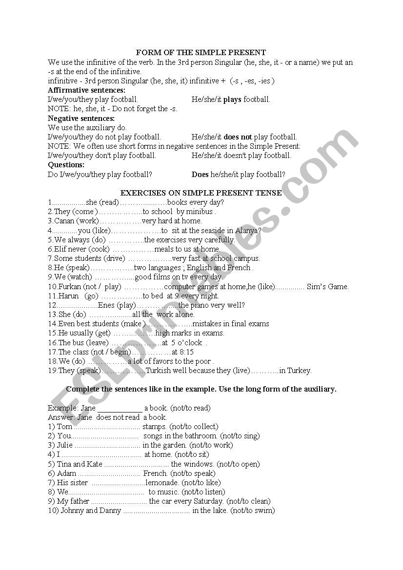 Simple Present Tense Form  worksheet