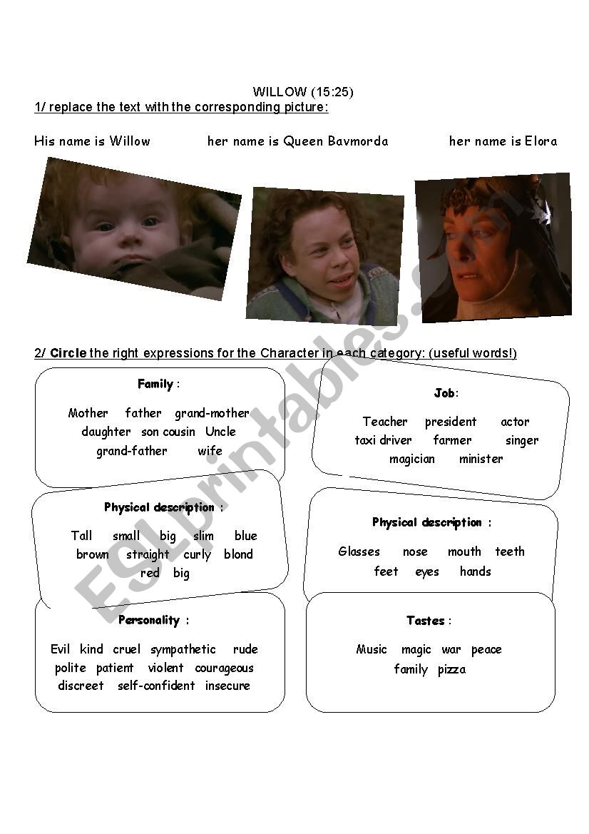 Willow1/2 worksheet