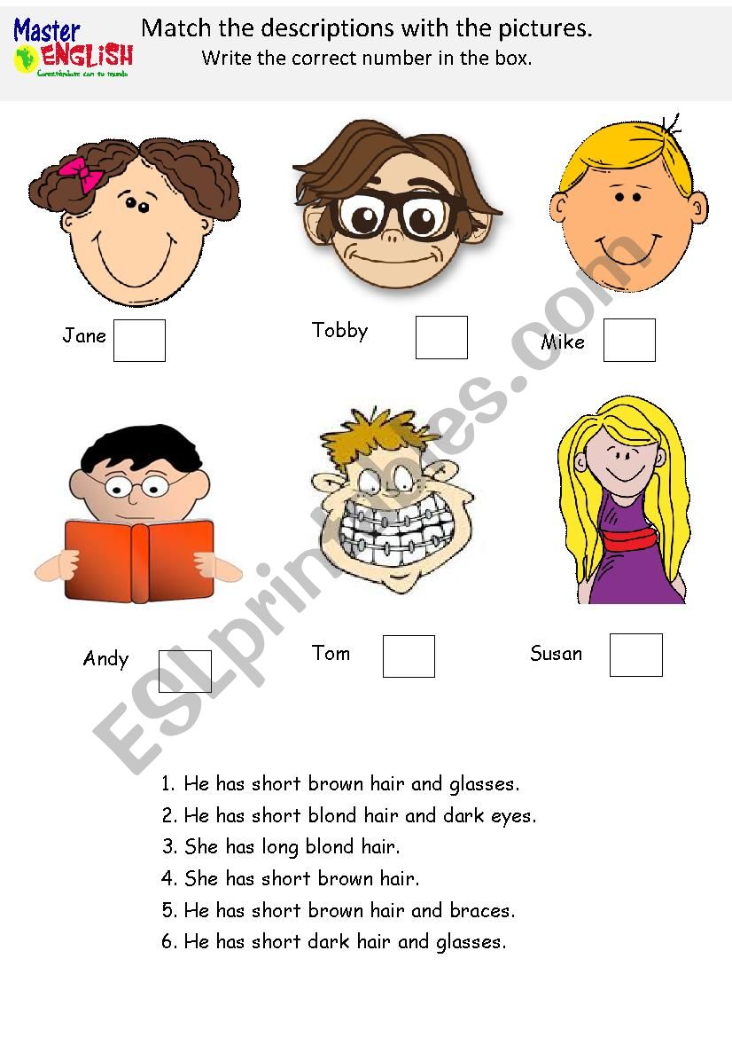 Physical description worksheet