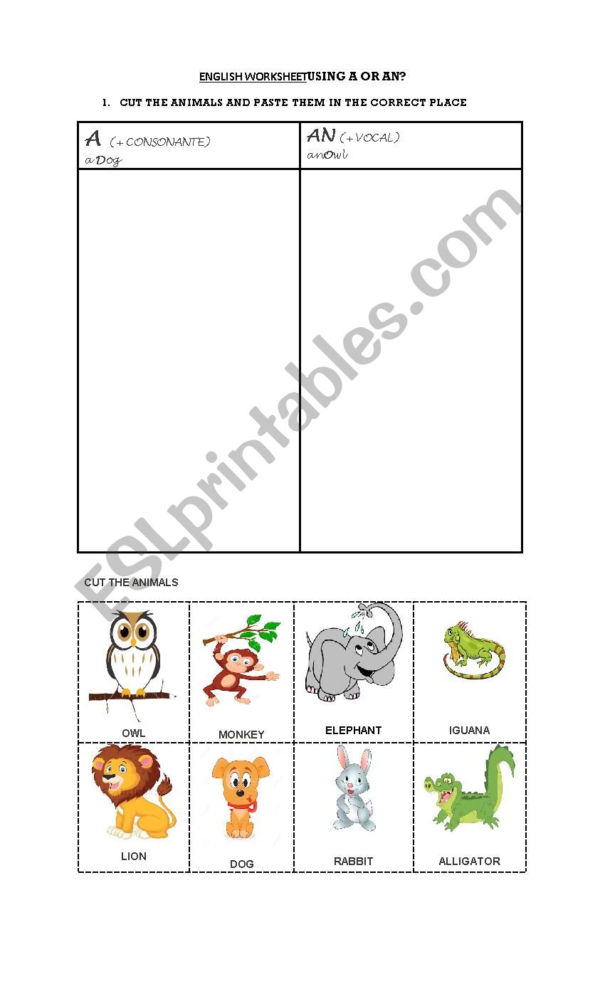 a or An animals worksheet