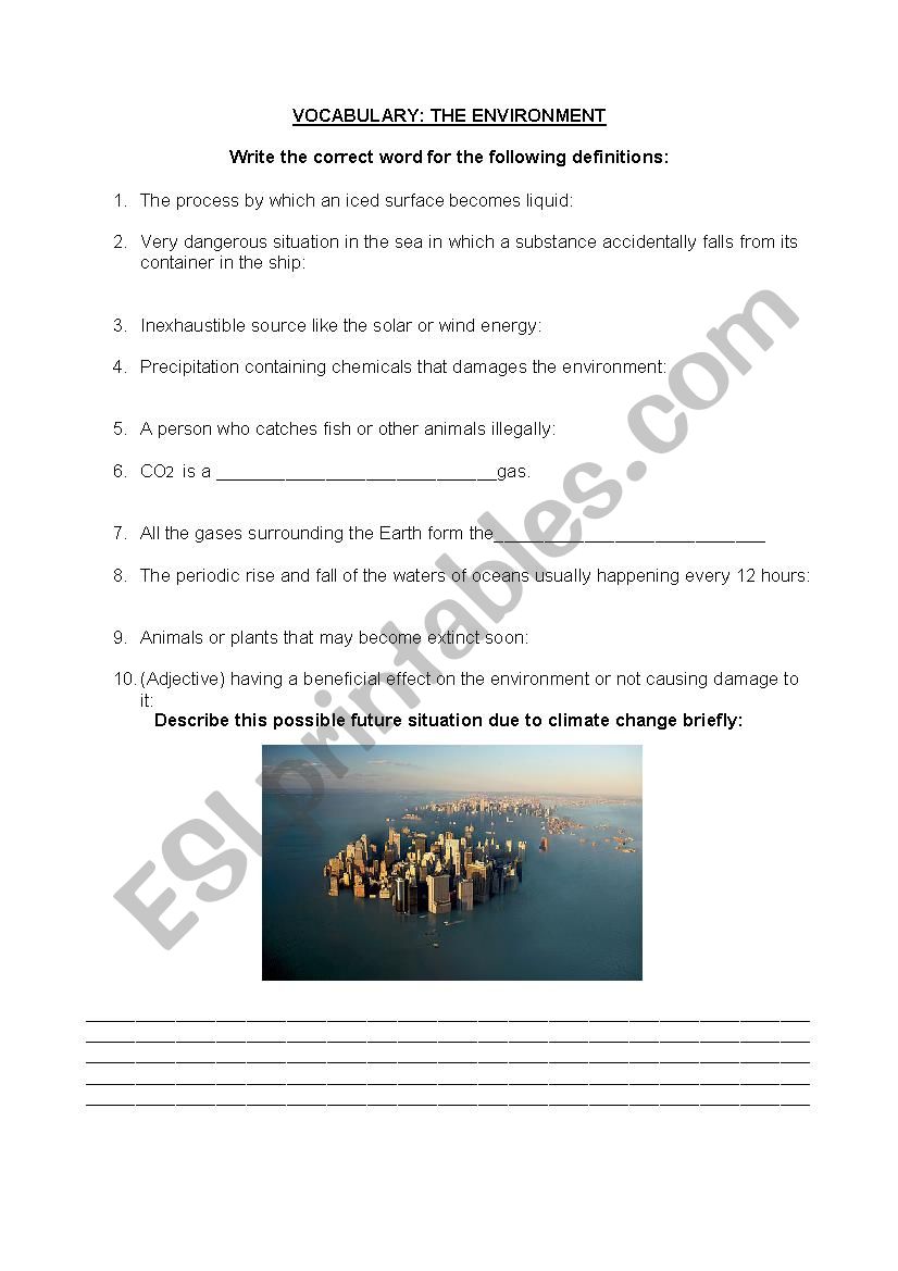 THE ENVIRONMENT-VOCABULARY worksheet