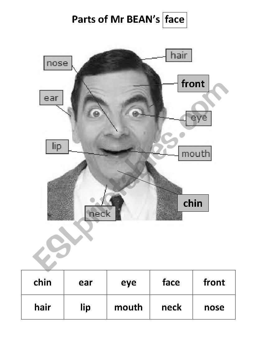 visage worksheet