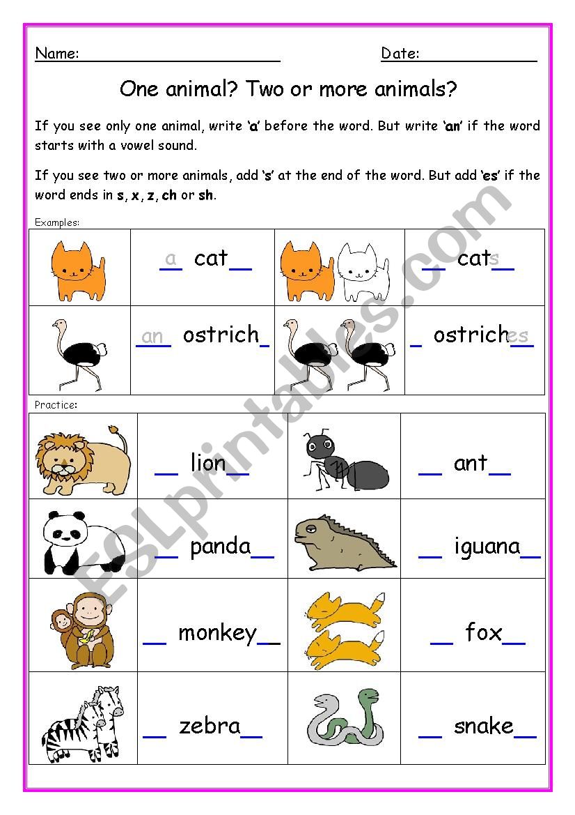 Single and plural nouns - a or an - s or es - - ESL worksheet by MAKUBAKU