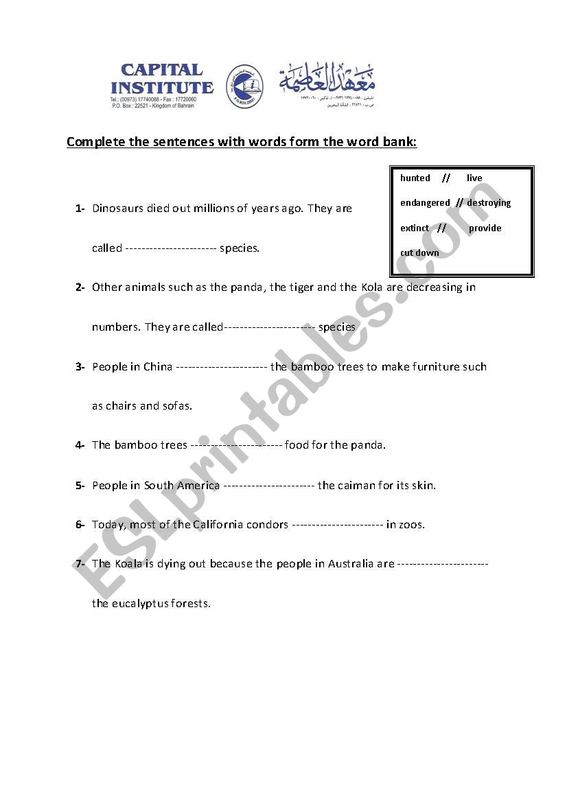 New parade 5 worksheet