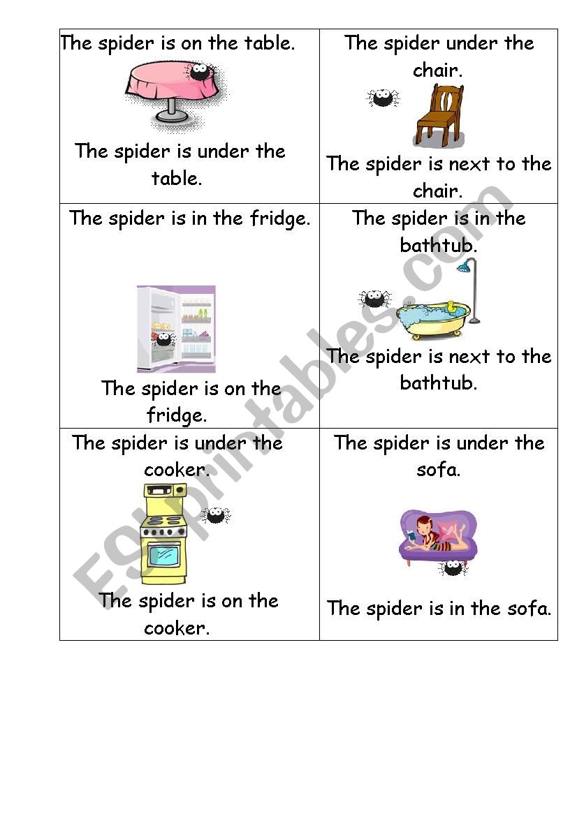 The spider worksheet