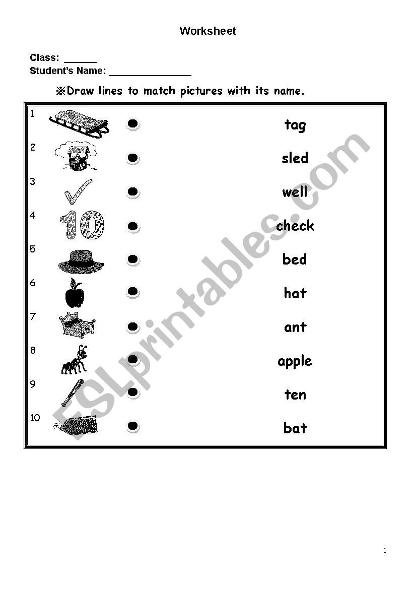 Vocabulary worksheet worksheet