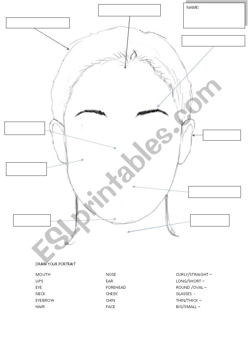 Draw your portrait worksheet