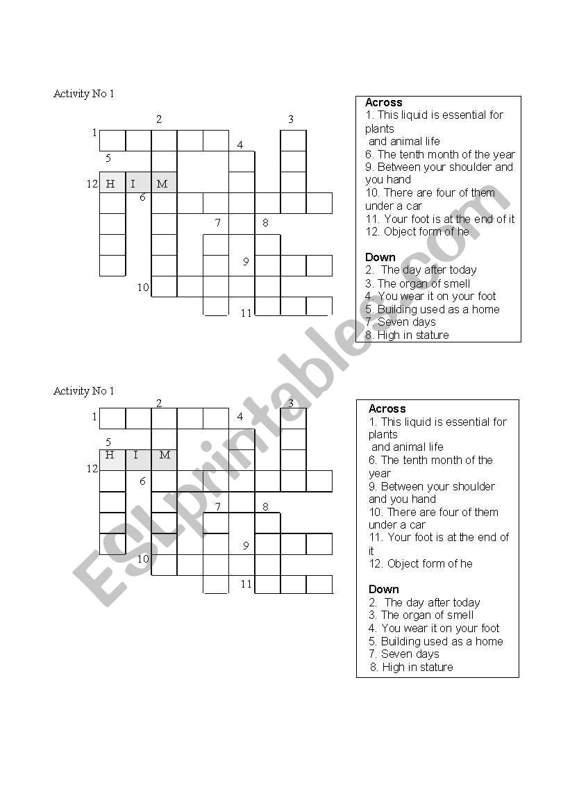 Basic Vocabulary worksheet