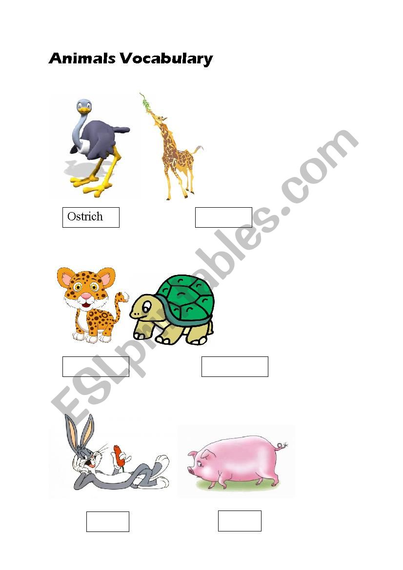 Animal Vocabulary  worksheet